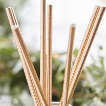 25 Straws - Rose Gold