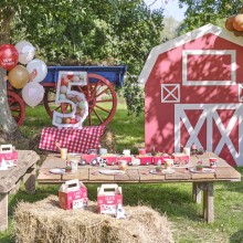 Napkin - Barn Shaped