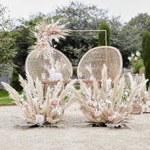 5 Decoations - Pampas Grass - Natural Tones