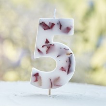 1 Candle - Number 5 - Pressed Petals