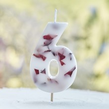 1 Candle - Number 6 - Pressed Petals