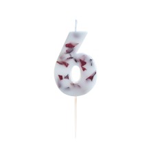 1 Candle - Number 6 - Pressed Petals