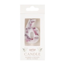 1 Candle - Number 6 - Pressed Petals